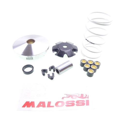 Variomatik malossi multivar - variomatik,